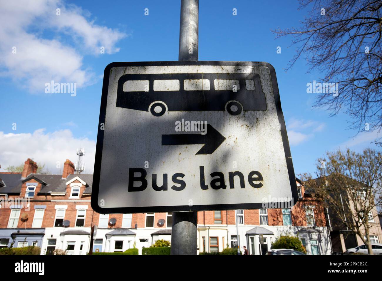 bus lane sign approaching a main road from a side street south belfast northern ireland uk Stock Photo