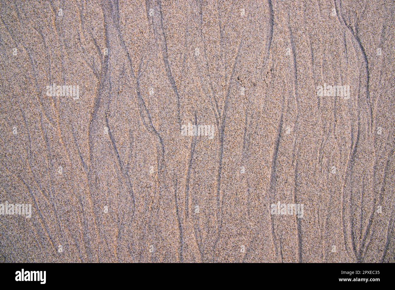 Nature Created Sand Pattern texture may be used as a background ...