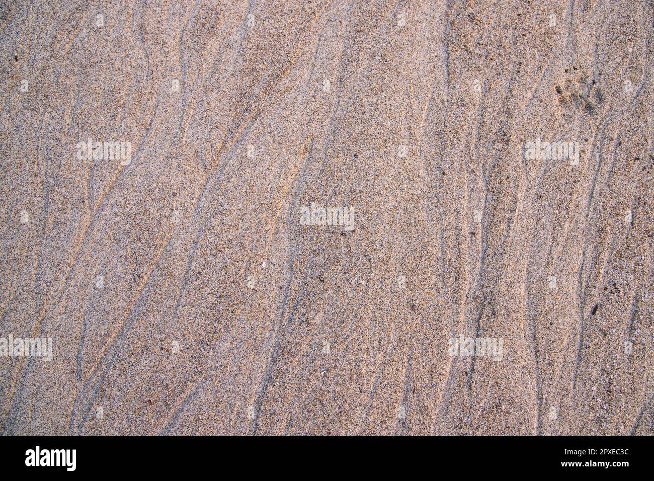 Nature Created Sand Pattern texture may be used as a background ...