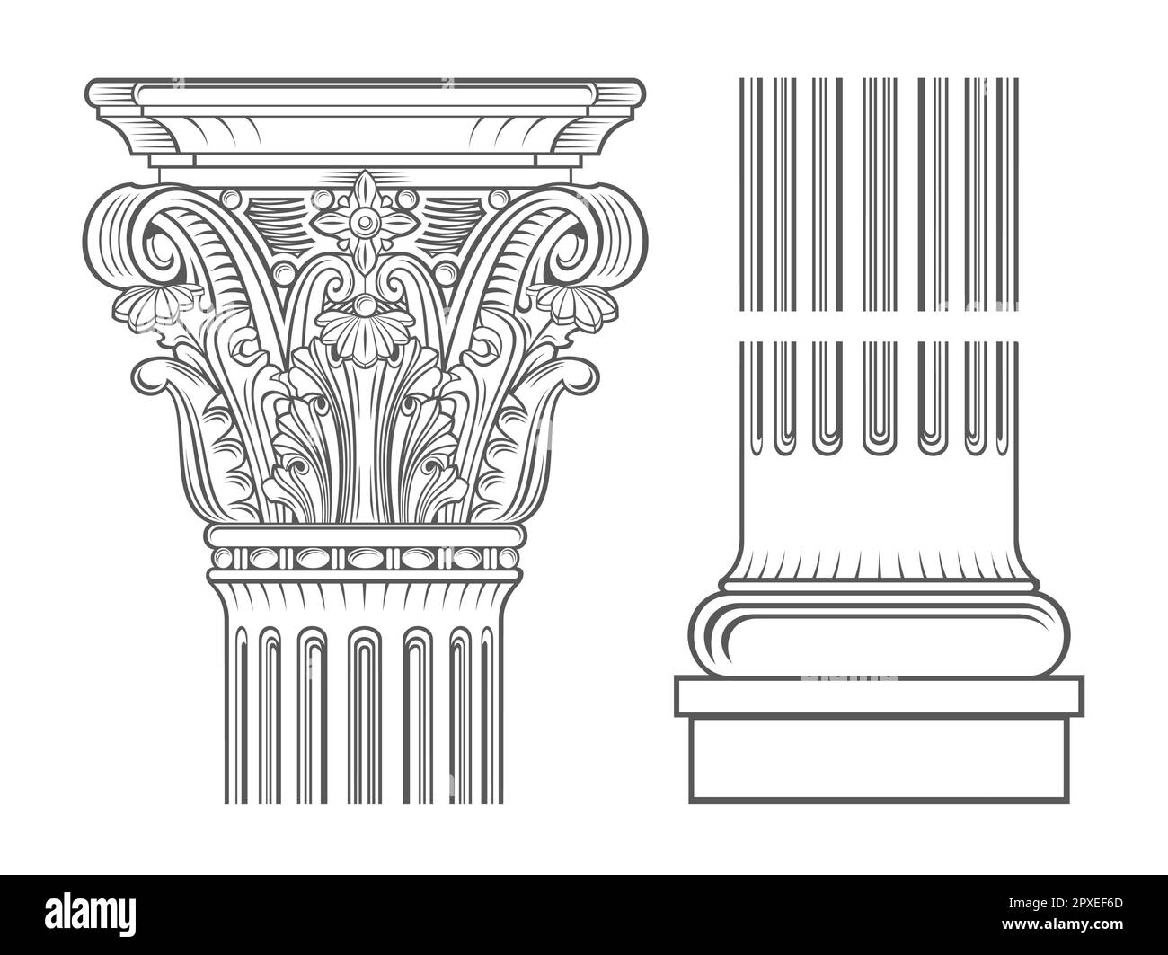 Vector templates. Capital of a medieval cathedral corinthian column