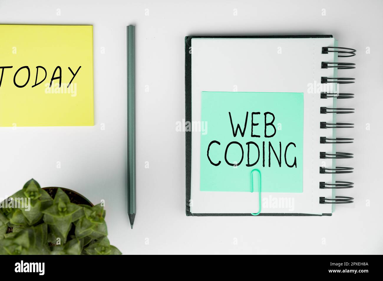 Sign displaying Web Coding, Internet Concept work involved in developing a web site for the Internet Stock Photo