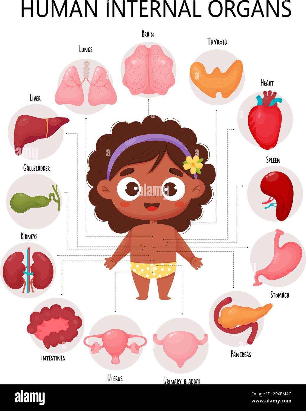 Anatomy human body. Infographic with cute black ethnic girl. Visual