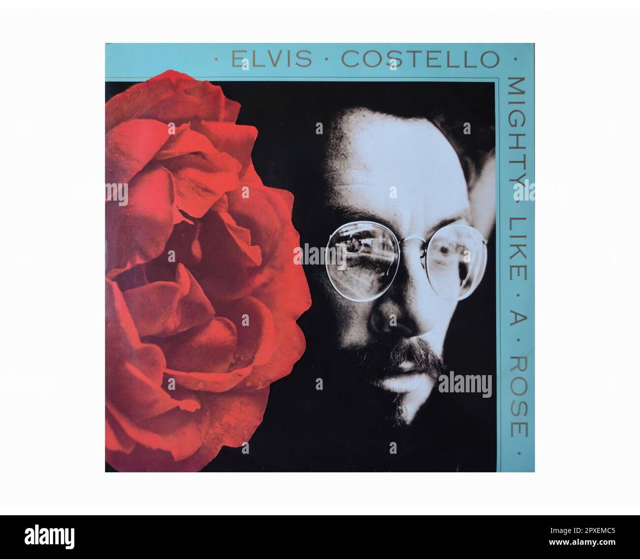Elvis Costello Mighty Like A Rose Vintage L.P Music Vinyl Record Stock Photo Alamy
