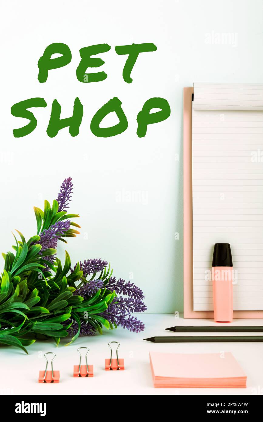 Conceptual display Pet Shop, Business overview Retail business that
