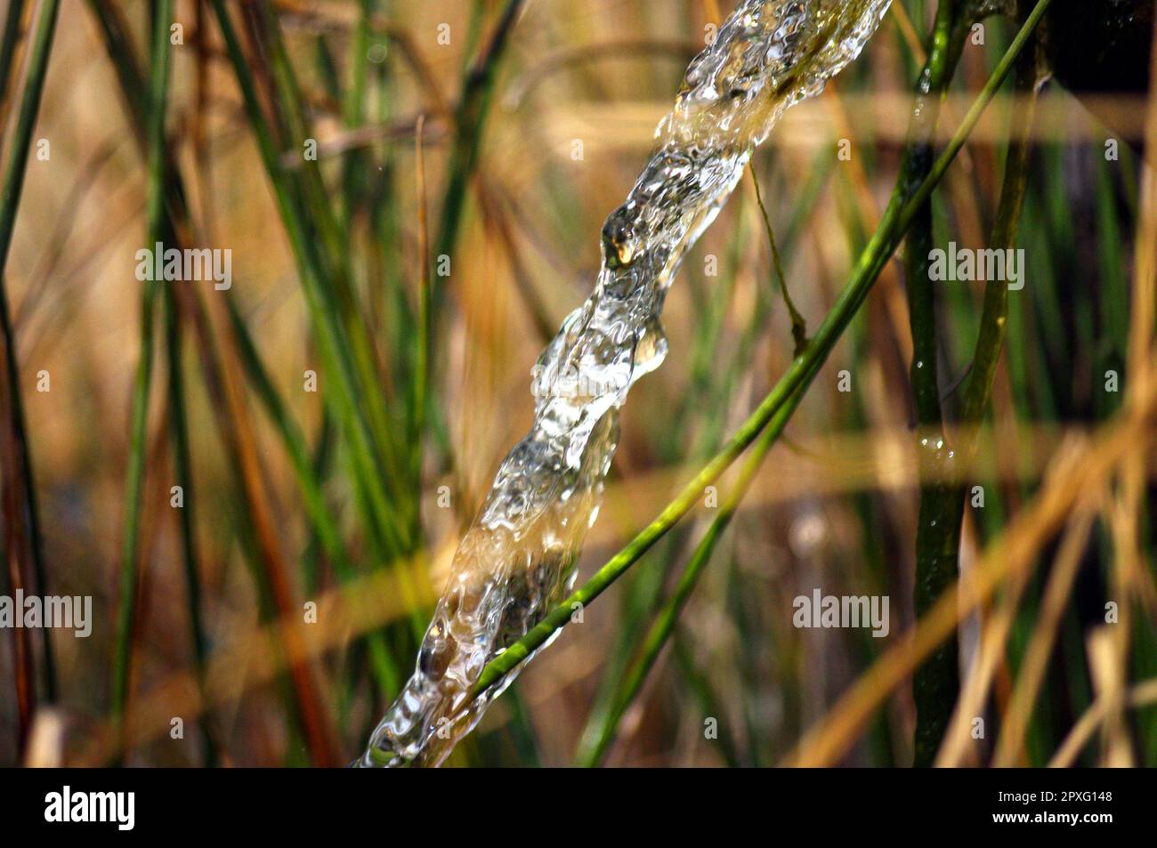 Abstract portrait of a water spray from a gutter with bokeh background. im sauerlandpark hemer Stock Photo