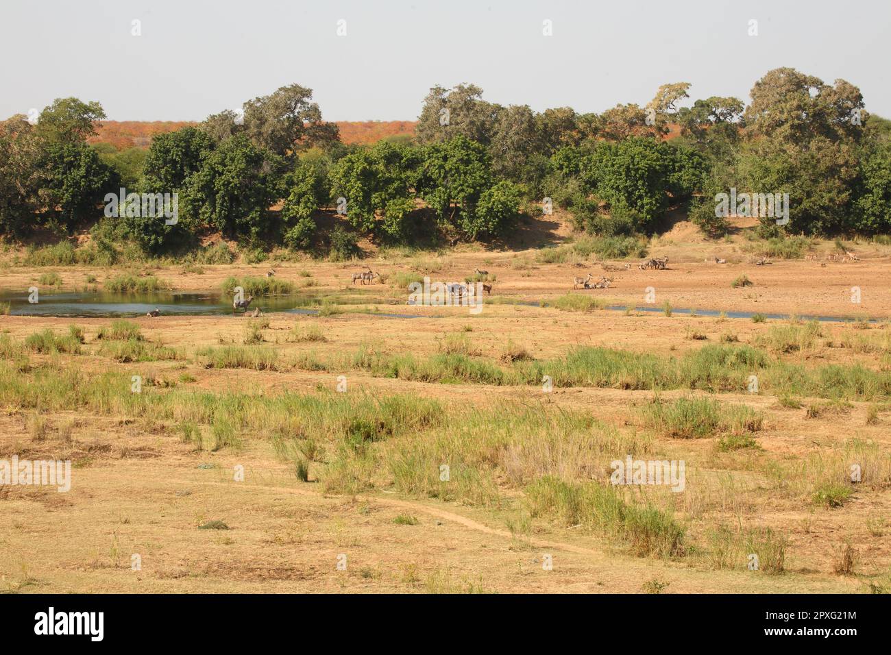 Letabariver hi-res stock photography and images - Alamy