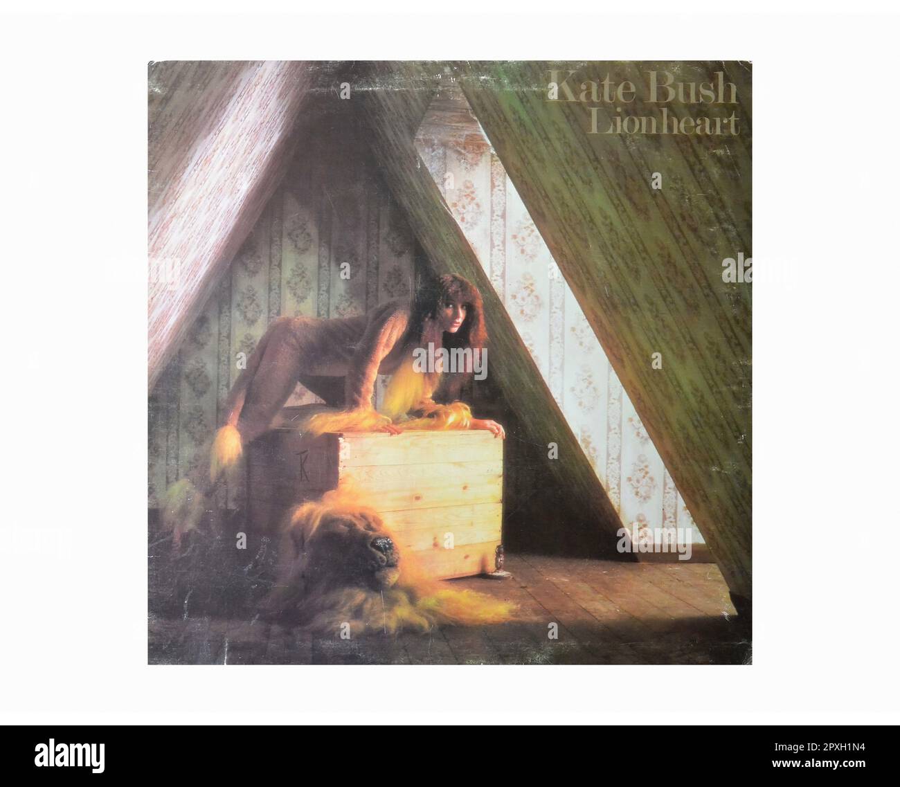 Kate Bush Lionheart Vintage L.P Music Vinyl Record Stock Photo Alamy