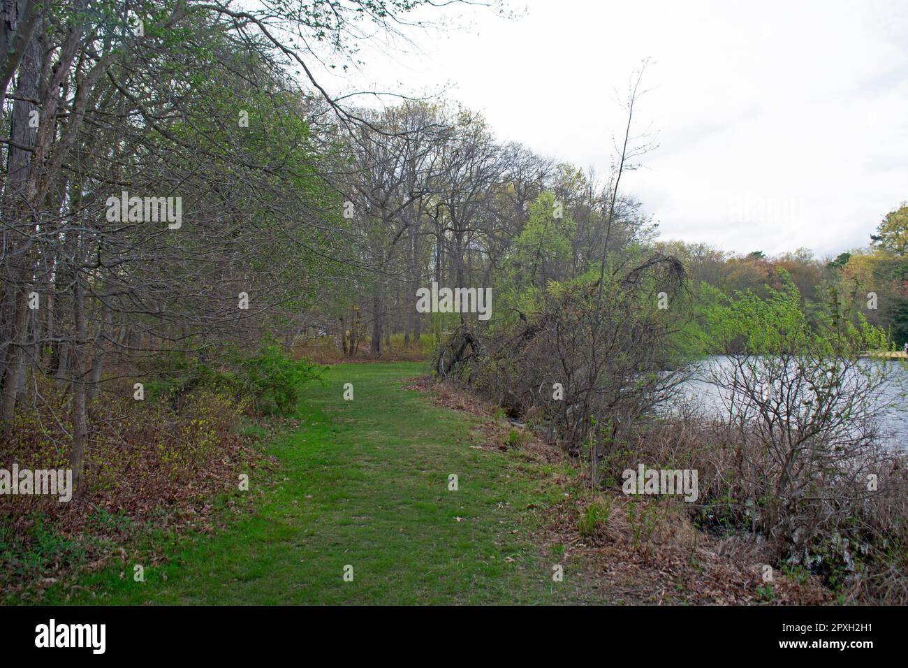 Scenic views along the nature trail at Big Brook Park in Marlboro, New