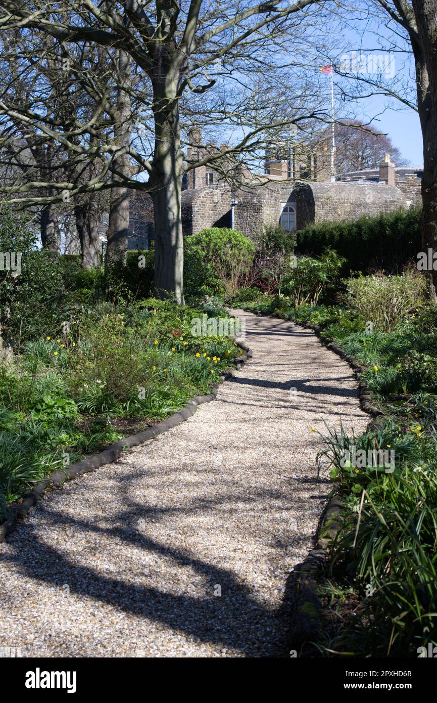 path through woodland garden leading to Walmer castle Deal, Kent UK in April Stock Photo