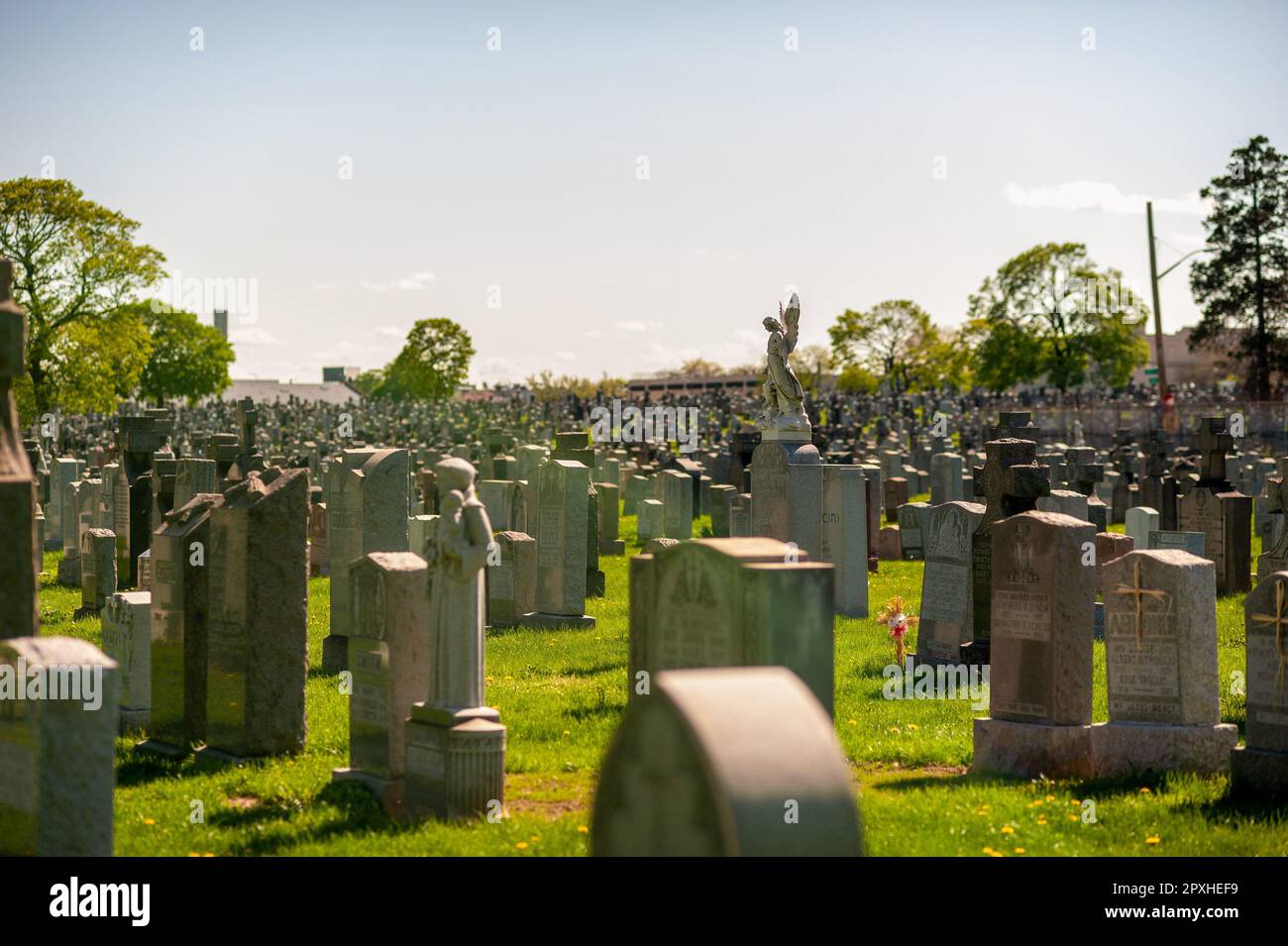A cemetery with multiple gravestones and statues situated in the grass