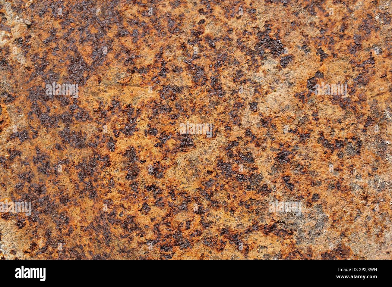 An abstract background of a distressed rusted metal surface with hues ...