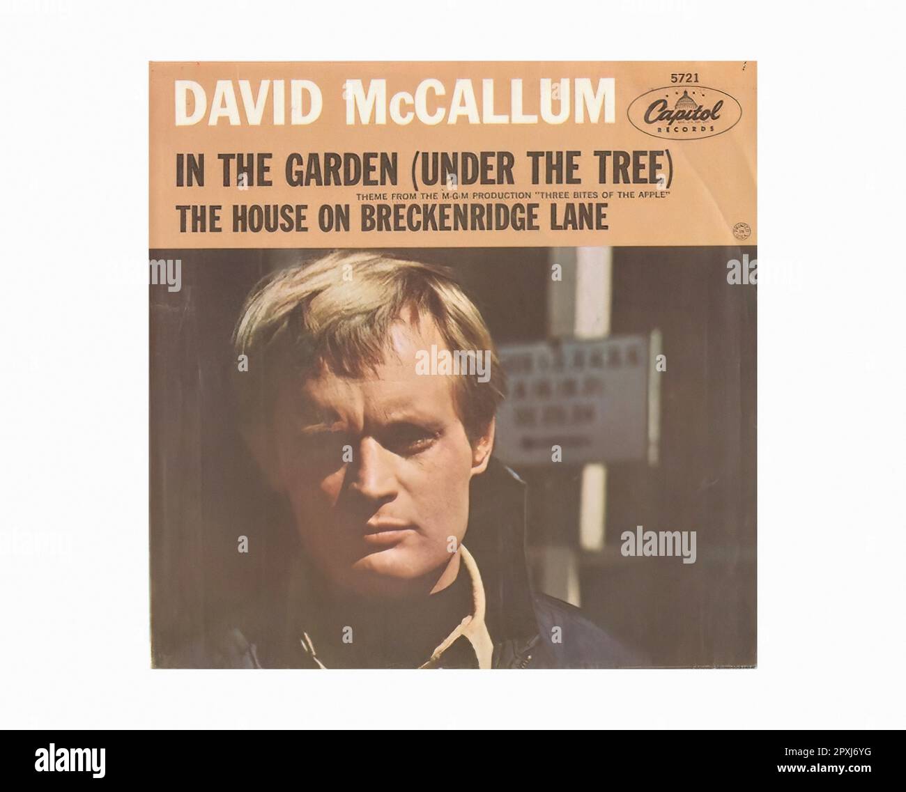 David mccallum hi-res stock photography and images - Alamy