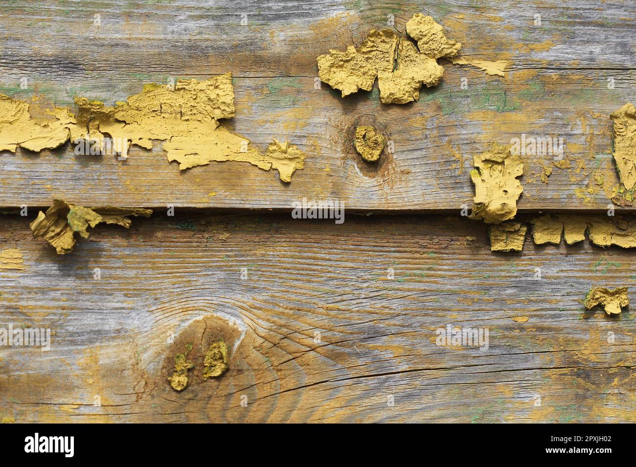 Background of old wood texture with peeling yellow paint Stock Photo ...