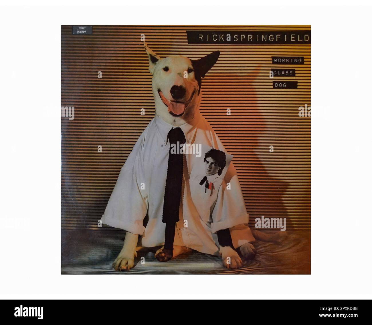 Rick springfield Cut Out Stock Images & Pictures - Alamy