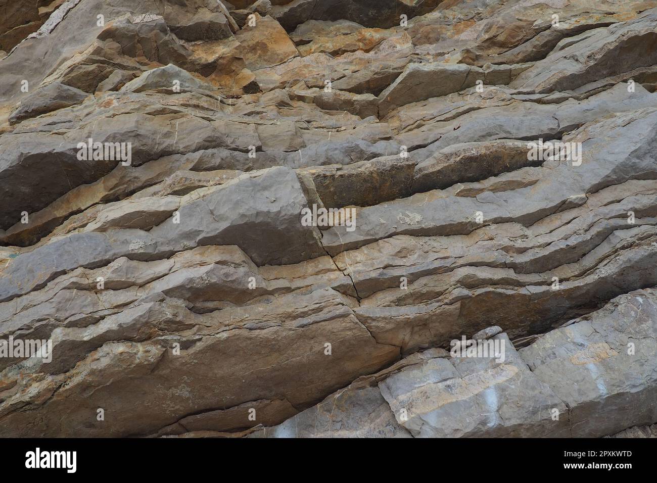 Flysch is a series of marine sedimentary rocks that are predominantly clastic in origin and are characterized by the alternation of several lithologic Stock Photo