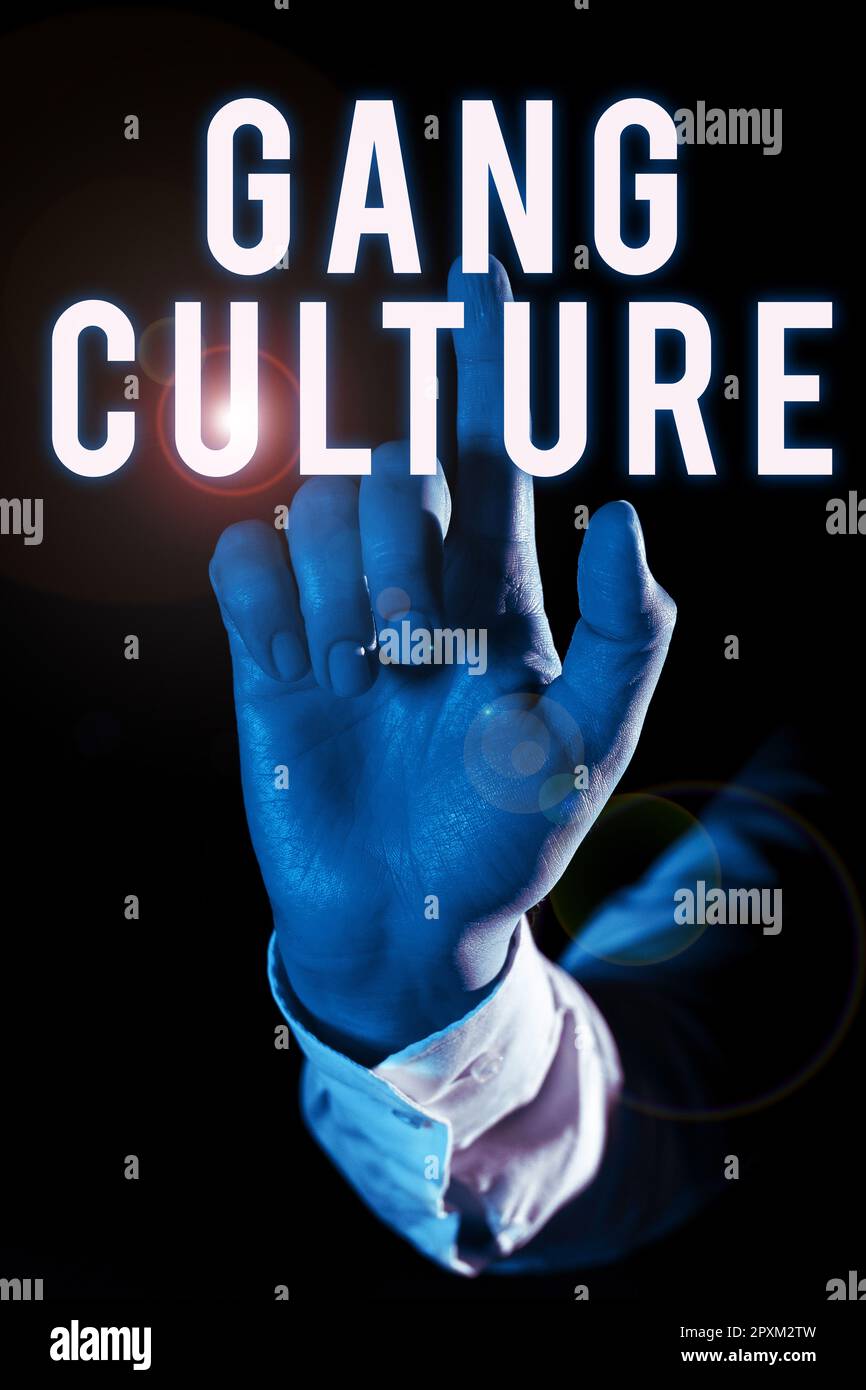 Writing displaying text Gang Culture, Business showcase particular ...