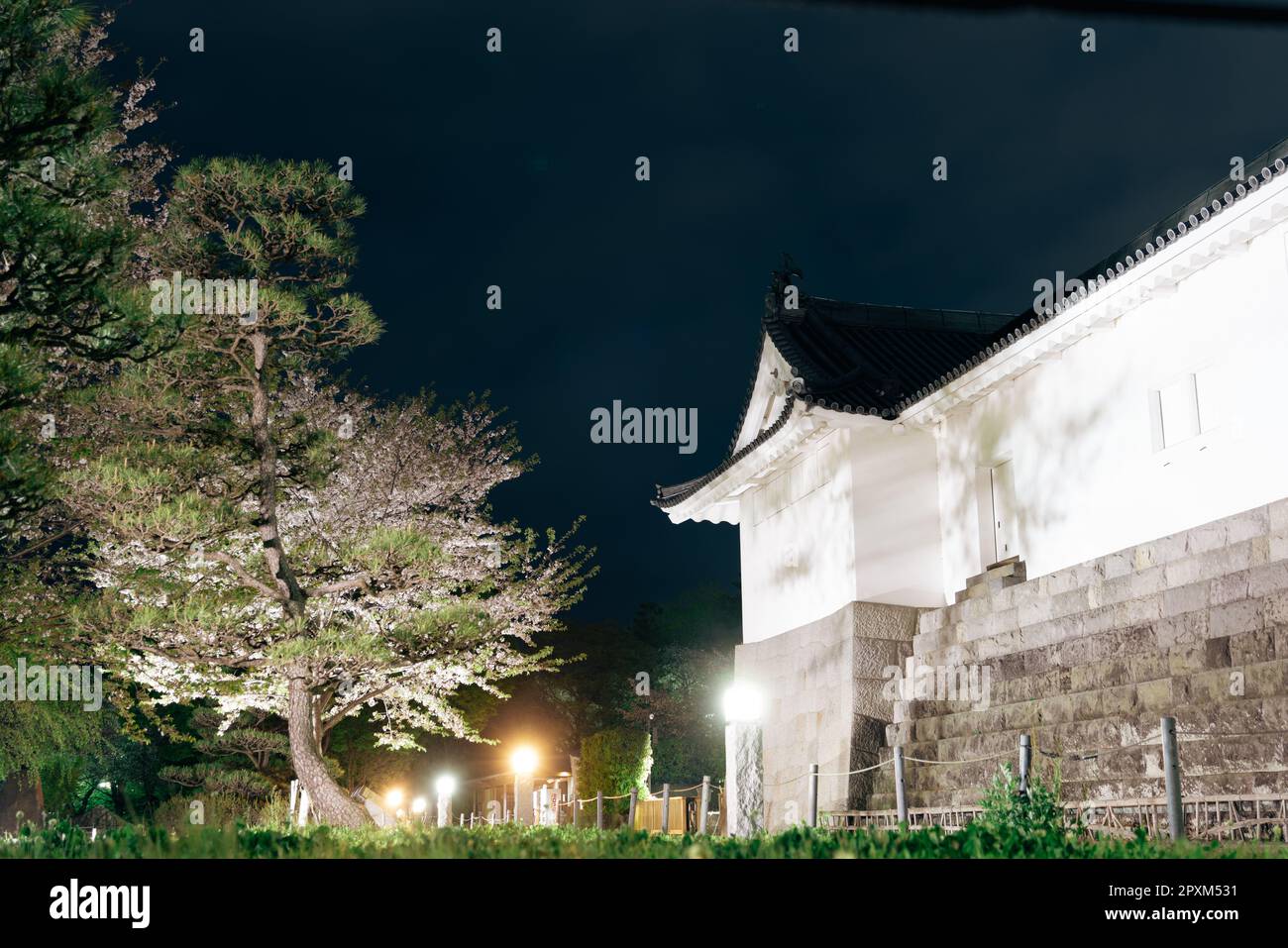 Sunpu Castle Park night scenery in Shizuoka, Japan Stock Photo