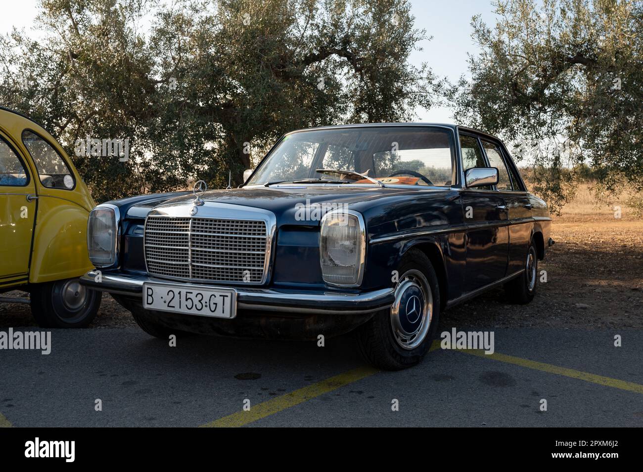 Detail of a beautiful German luxury classic car, it is a blue Mercedes Benz W115 W114 Stock Photo