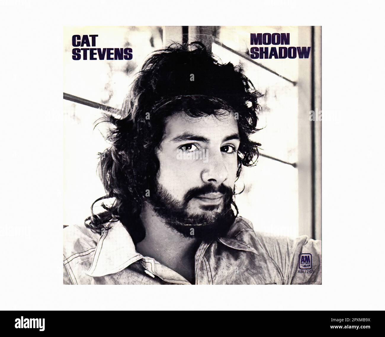 Cat stevens Cut Out Stock Images & Pictures Alamy