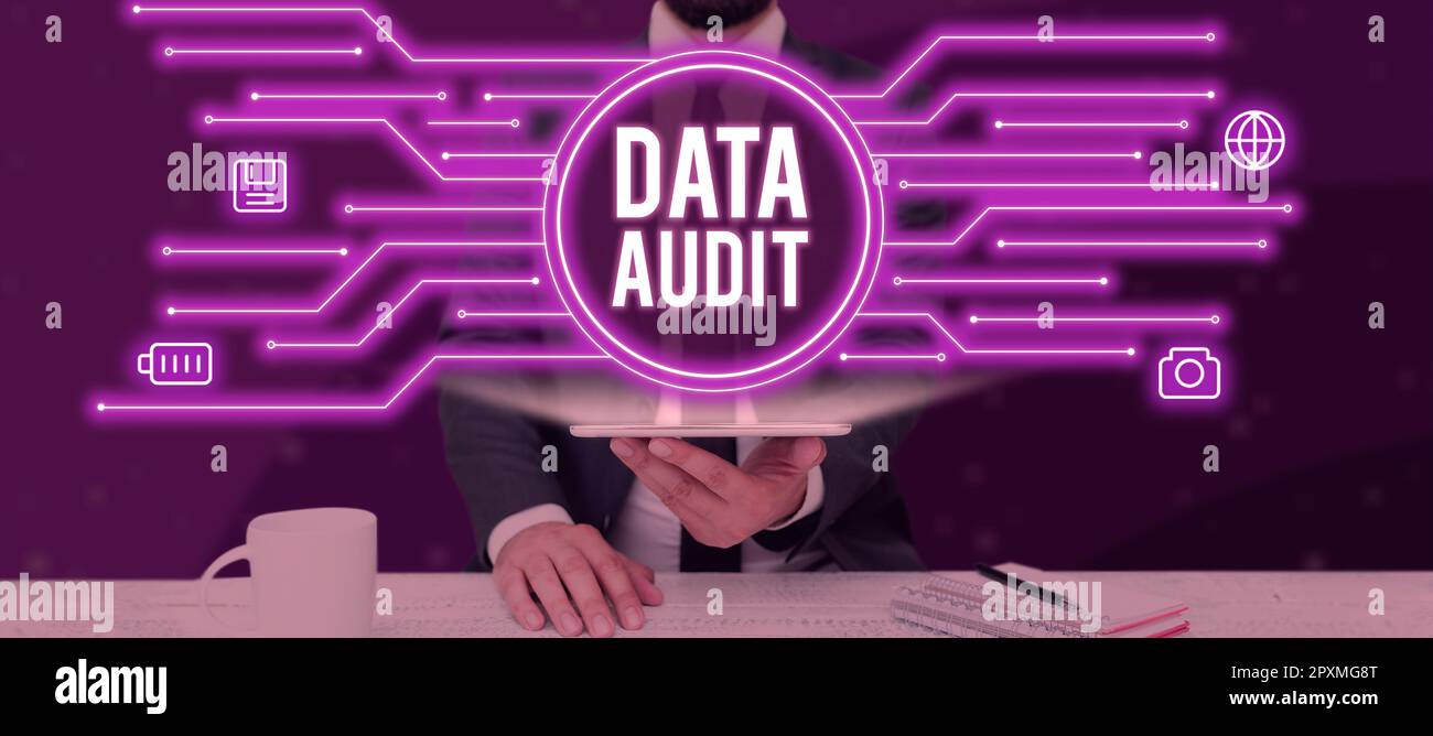 Conceptual display Data Audit, Business approach auditing of data to ...