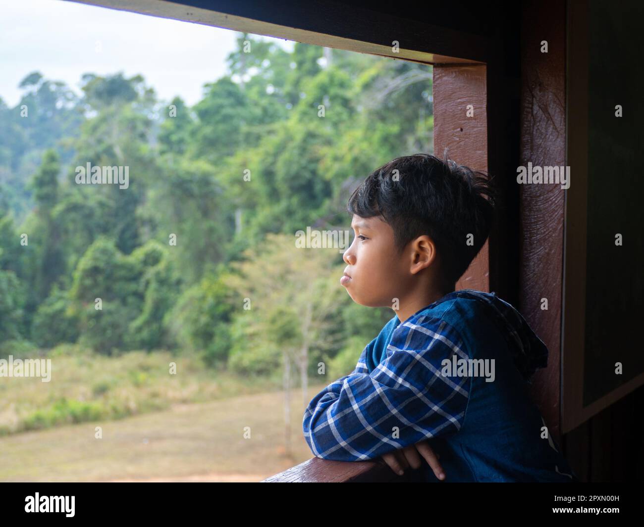 boy looking out window looking at the green forest Stock Photo