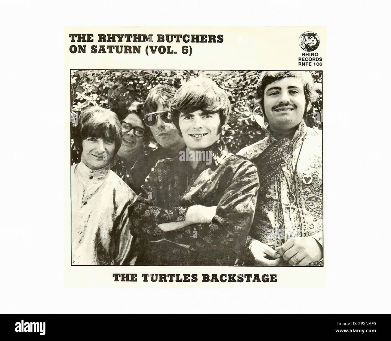 Turtle Rpm Silloette Turtles design Cut Out Stock Images & Pictures - Alamy