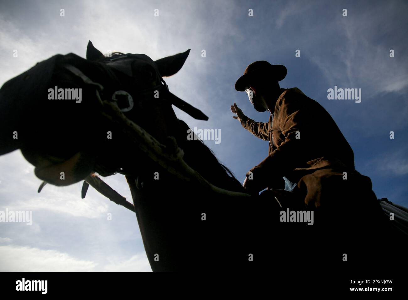 Comitiva de gado, peão de boiadeiro, boi, Cortege of Cattle, Peasant of  Cowboy, Ox, Bos taurus, Miranda, Mato Grosso do Sul, Brazil Stock Photo -  Alamy