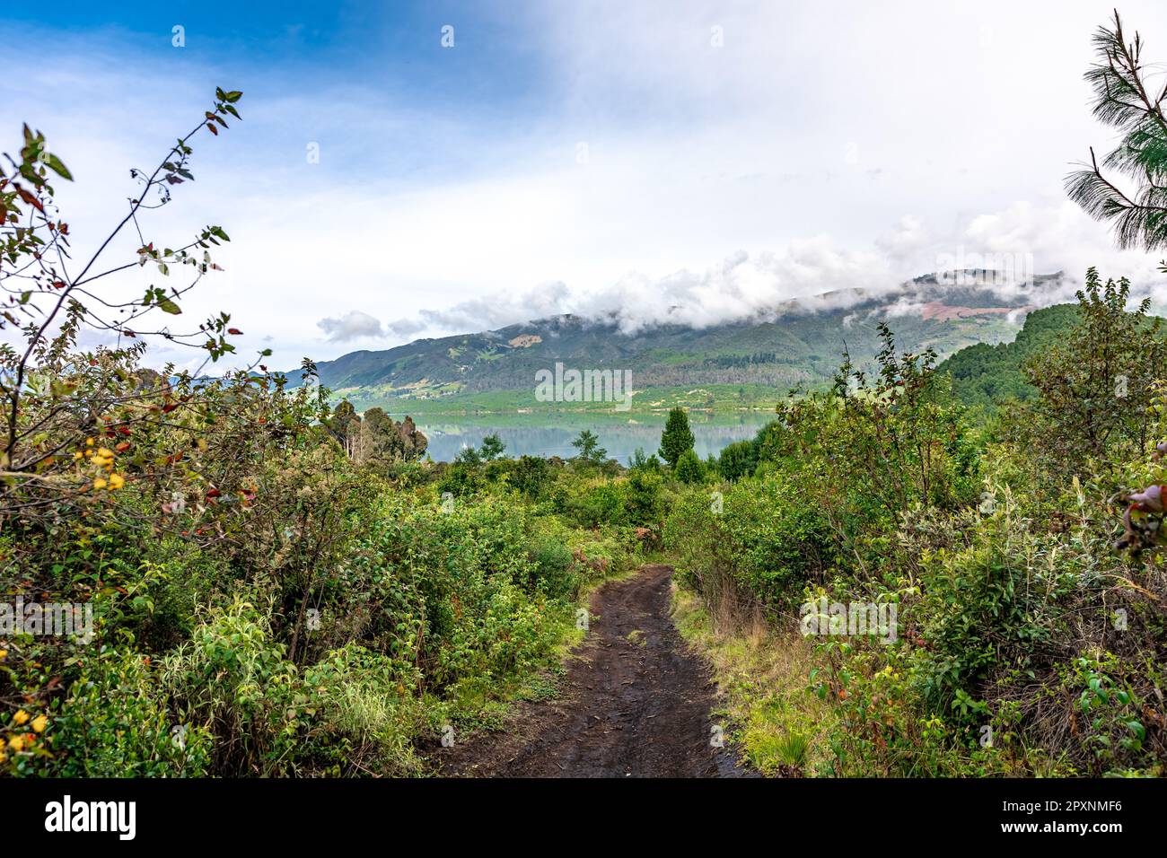 forests and mountains in the beautiful Colombian nature. Stock Photo