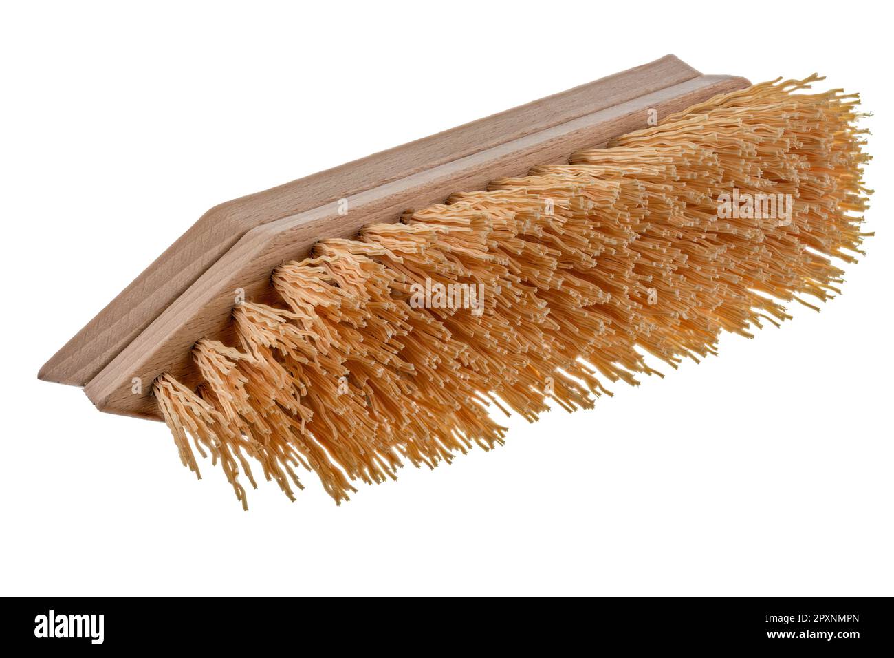 https://c8.alamy.com/comp/2PXNMPN/closeup-of-an-isolated-coarse-scrubbing-brush-2PXNMPN.jpg