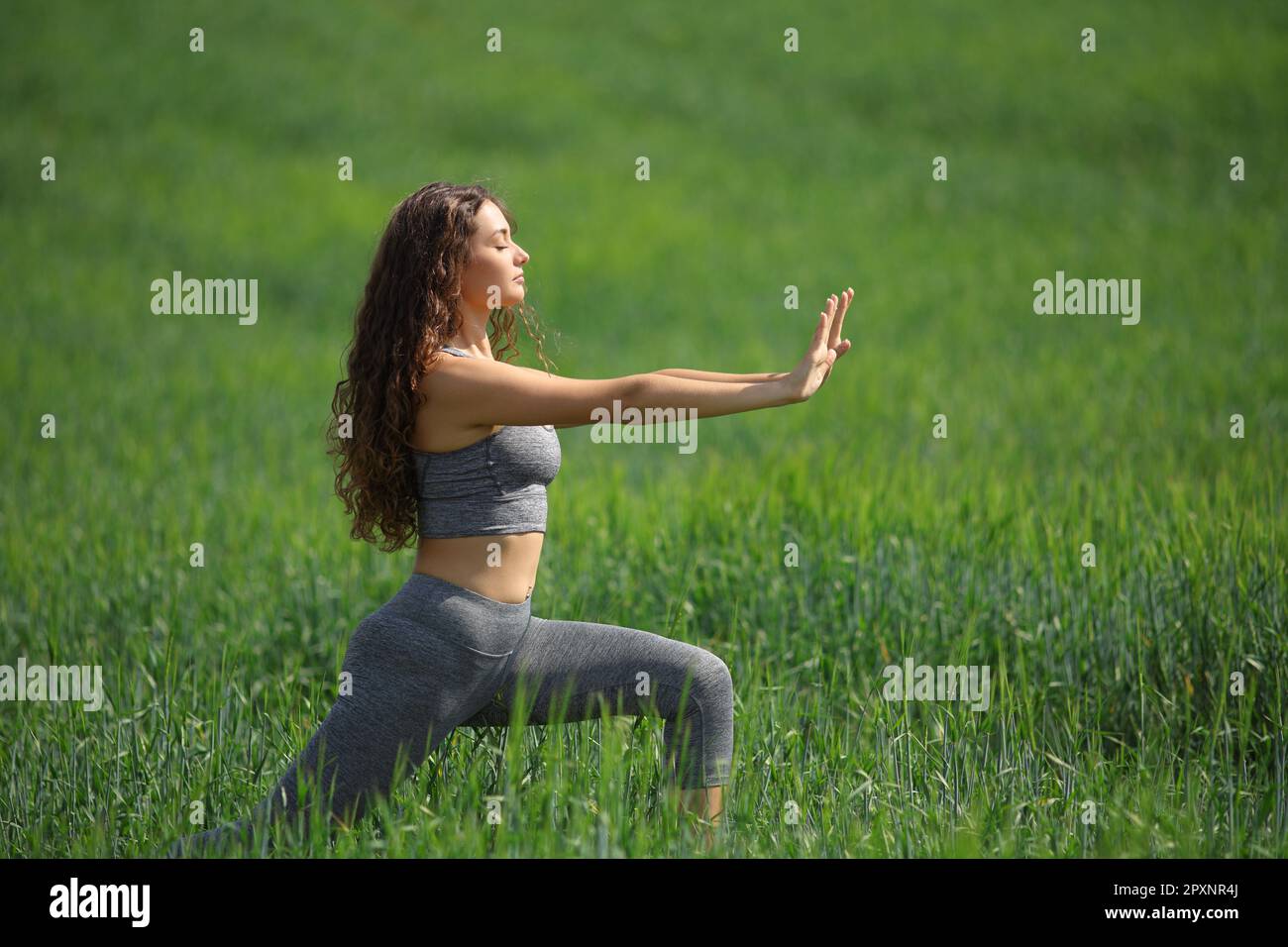 Tai Chi Pose Images – Browse 6,631 Stock Photos, Vectors, and