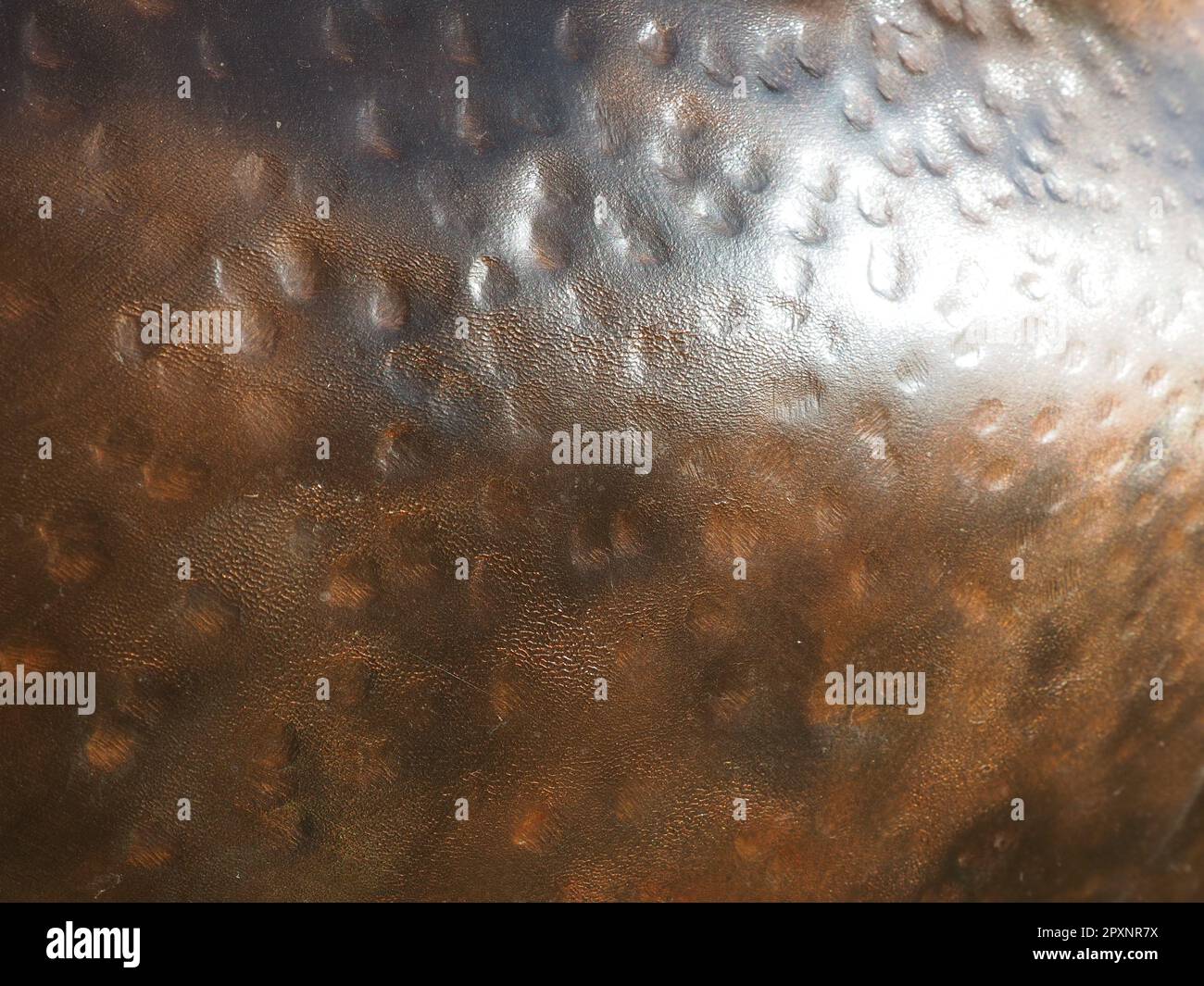 Metal bronze textured plate. Bronze or copper polished surface with