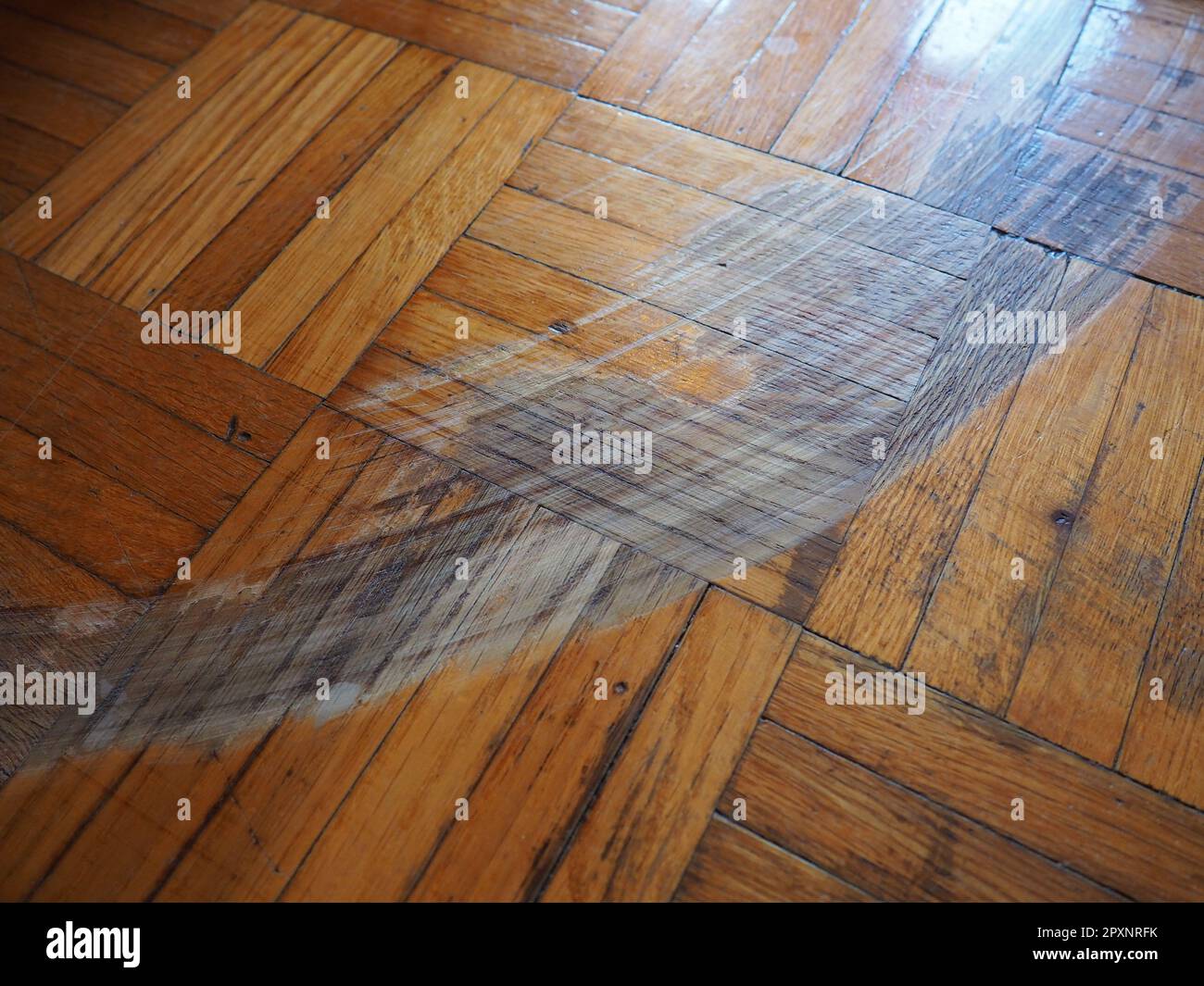 Scratched parquet flooring in the room. Scratches, chips and dents on