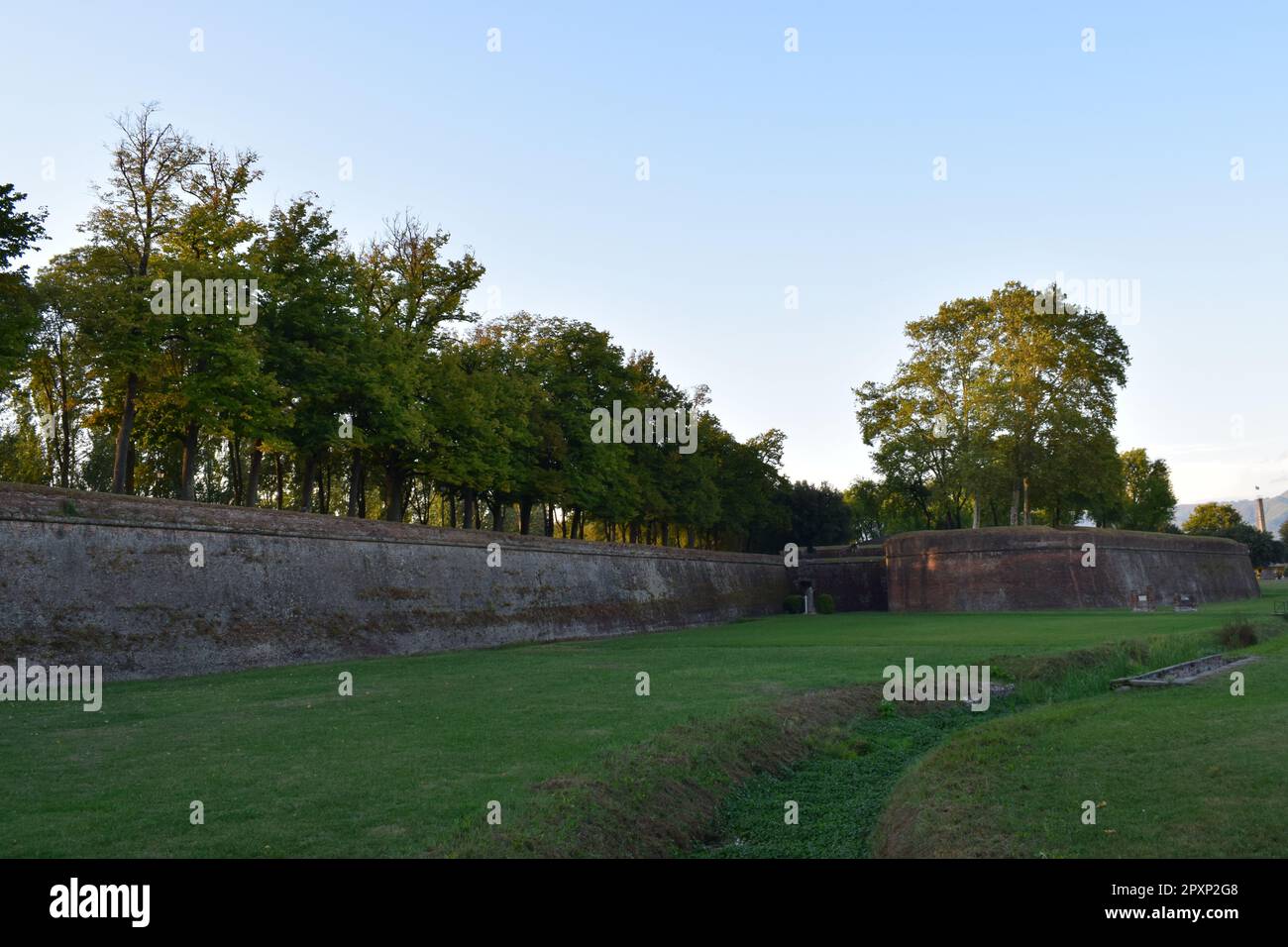 Two wooden benches placed in front of a stone wall, surrounded by lush ...