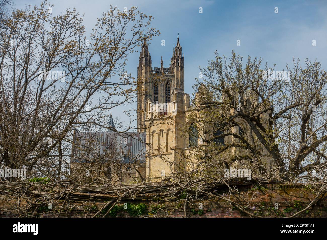 Canterbury Cathedral,from,Garden of Remembrance,Springtime Stock Photo