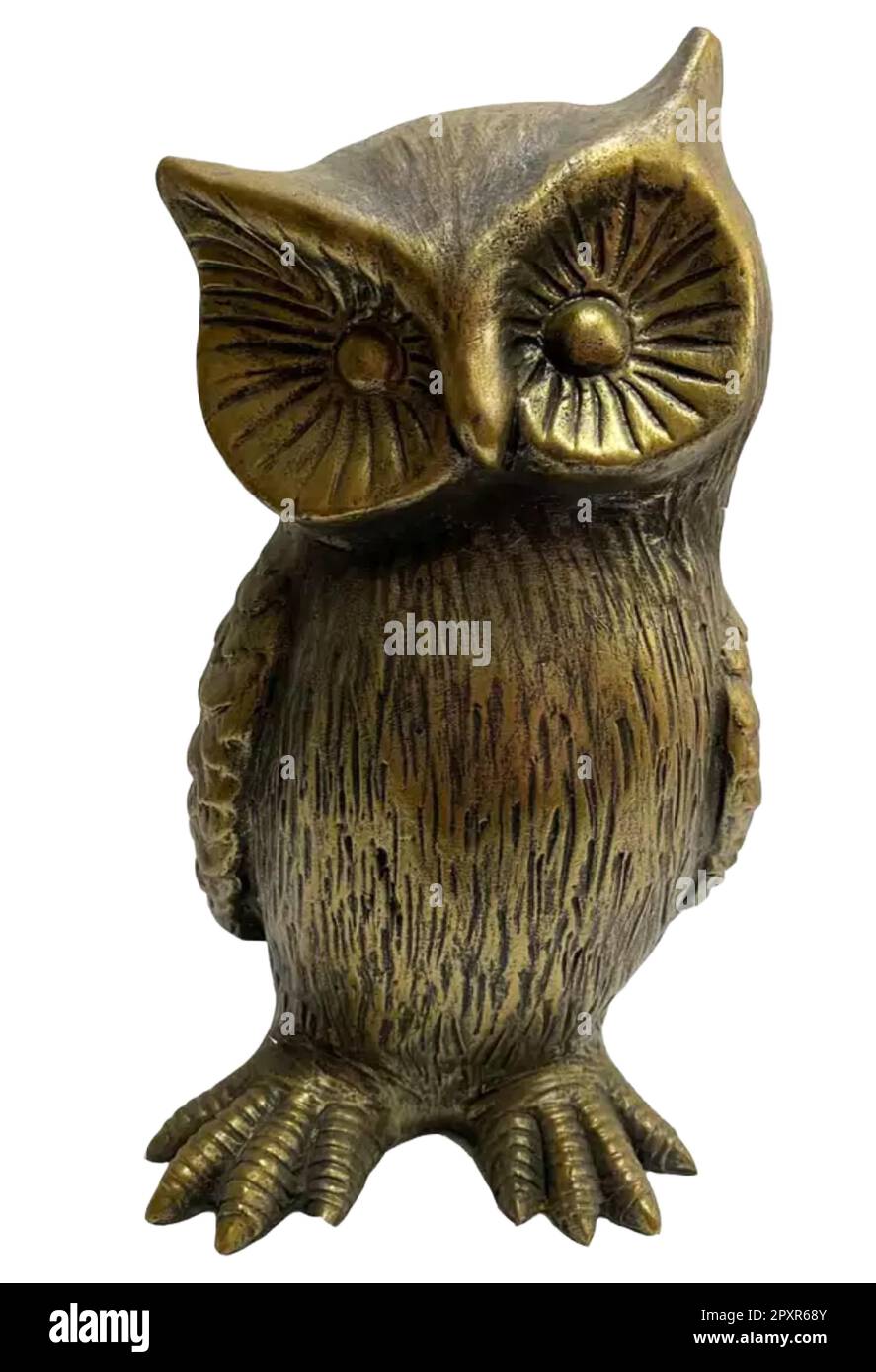 Night Owl Stock Vector
