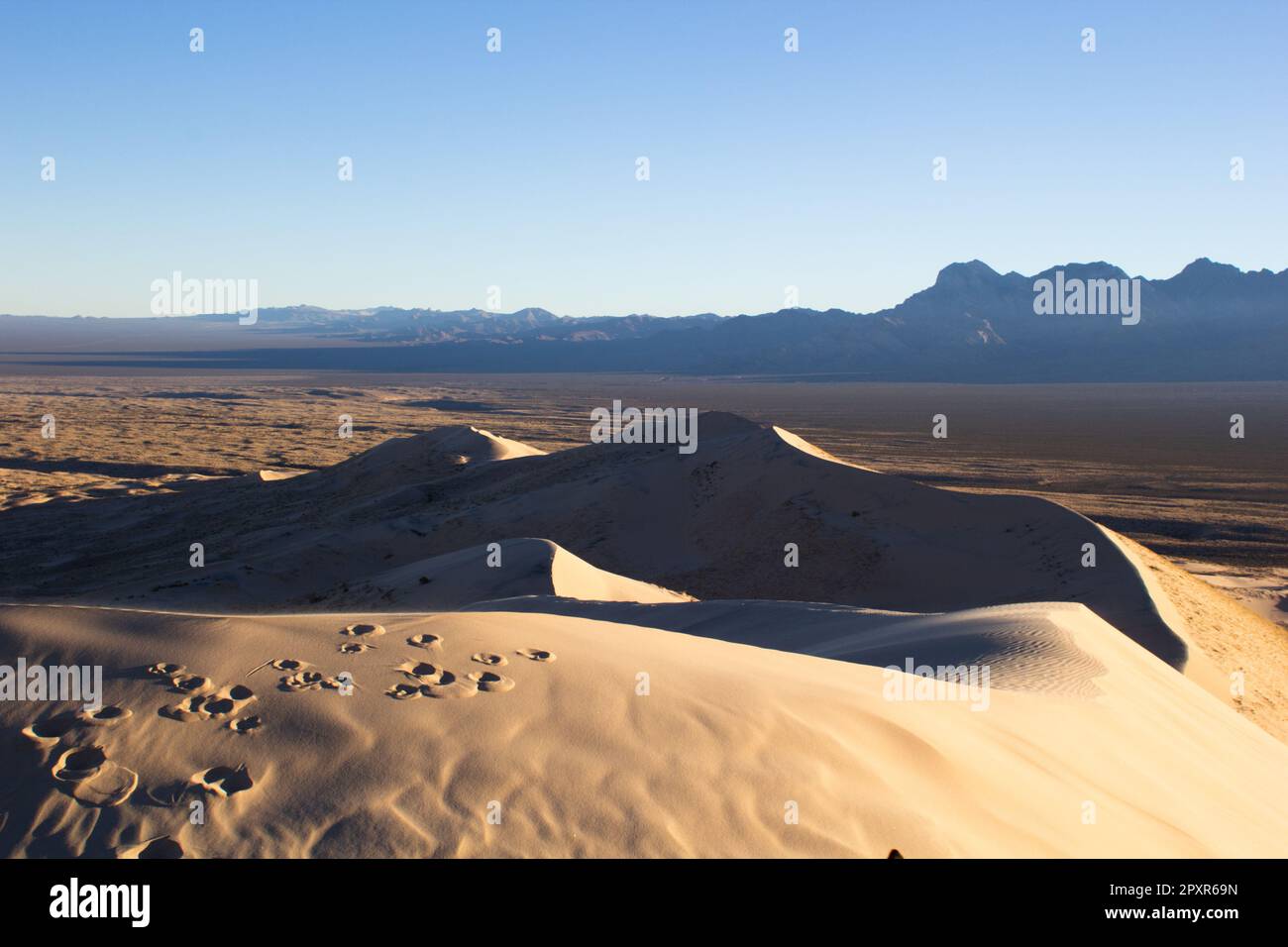 Sunrise at Kelso Dunes Stock Photo