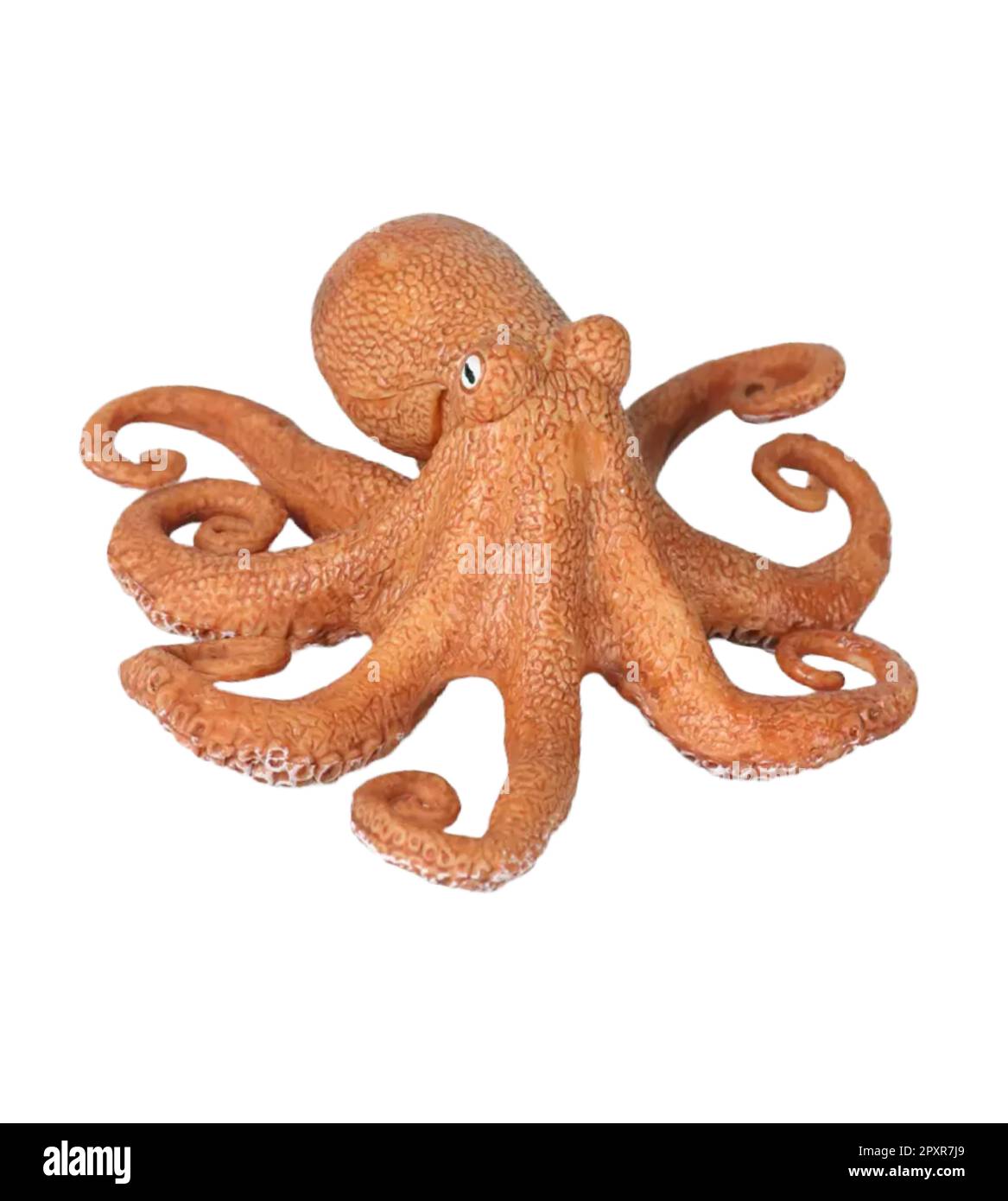Orange Octopus Stock Vector