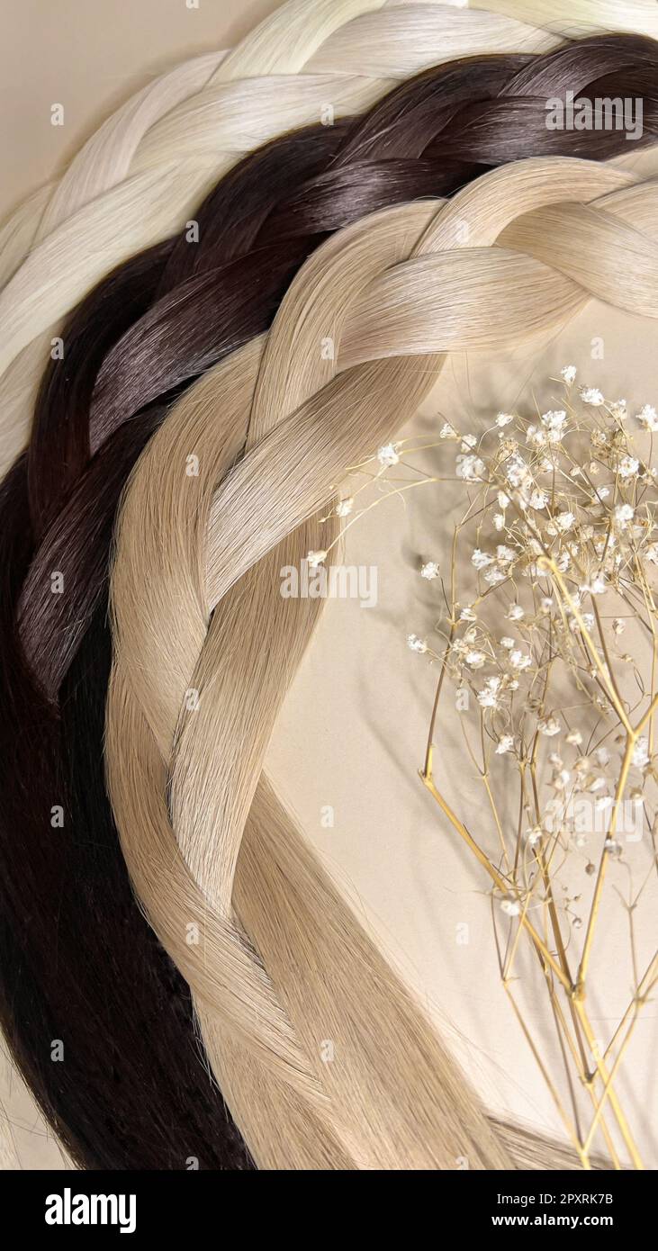 Strands of natural hair of different colors for extensions. Hair color