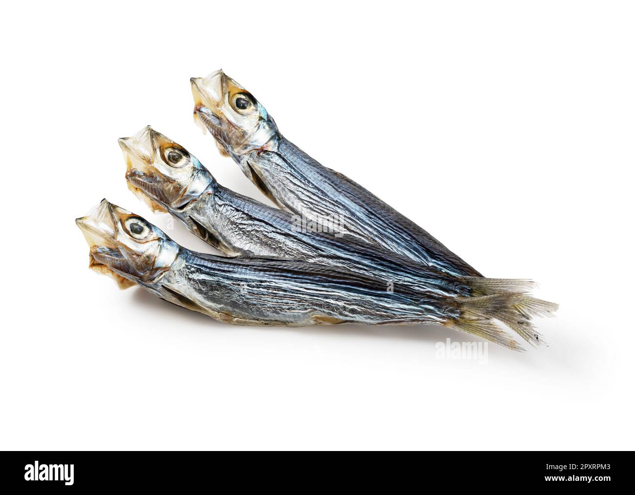 A umewashi (Japanese sardine) placed on a white background. Japanese