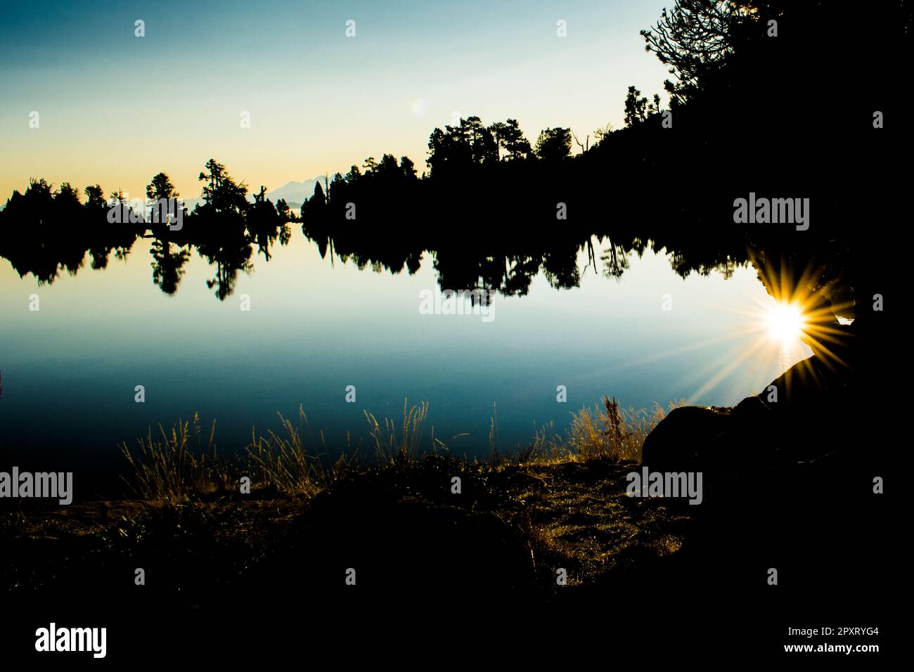 Sunset silhouette of trees and lake in natural enviornment, blue sky ...