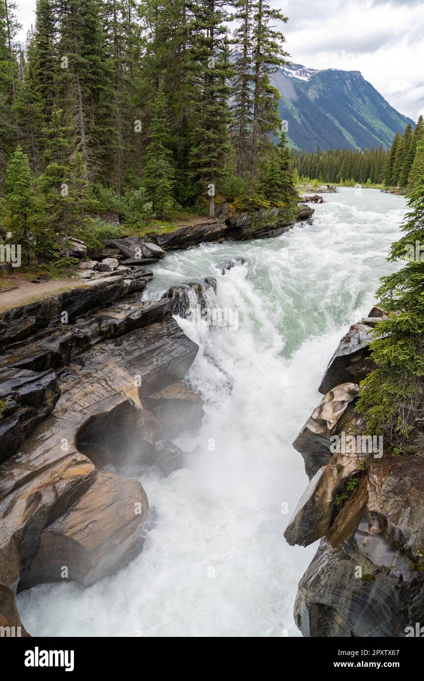 Numa falls in 2025 kootenay national park