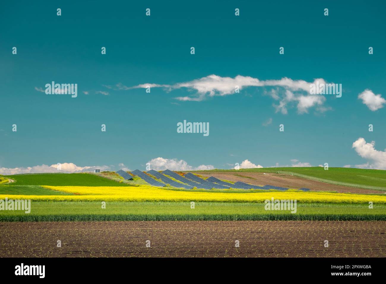 Renewable energy sources of solar panels installed in a field surrounded from wheat and other crops at Thessalys plain, Greece. Stock Photo