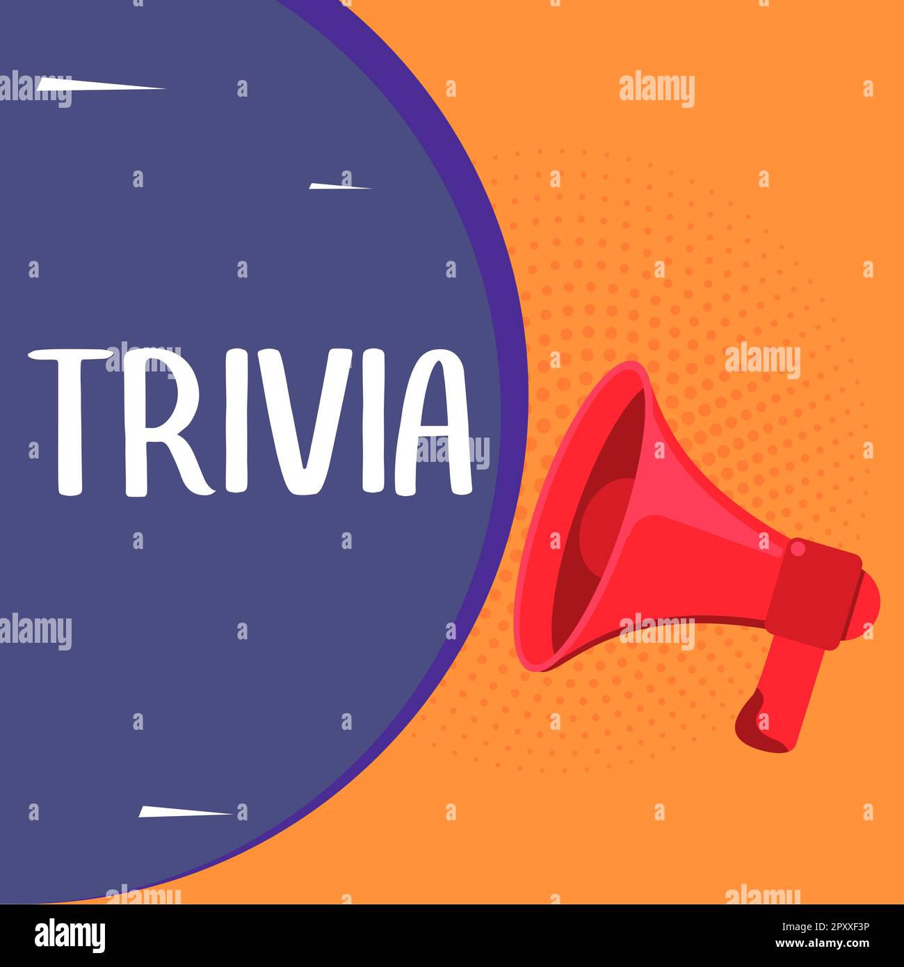 Text sign showing Trivia, Concept details considerations pieces information little
