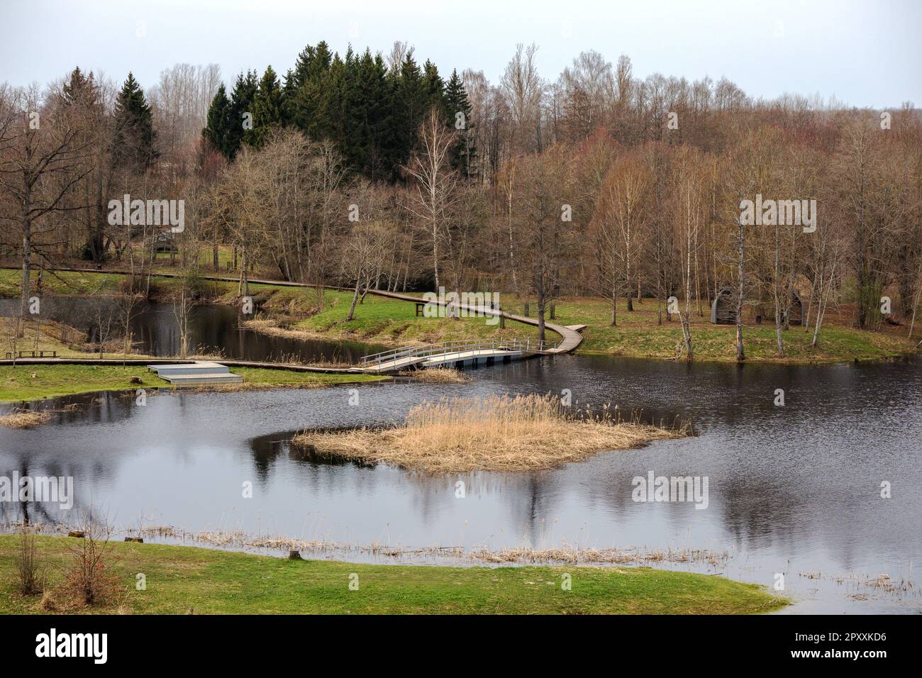 A river in the forest with a few trees and a cloudy sky Stock Photo - Alamy