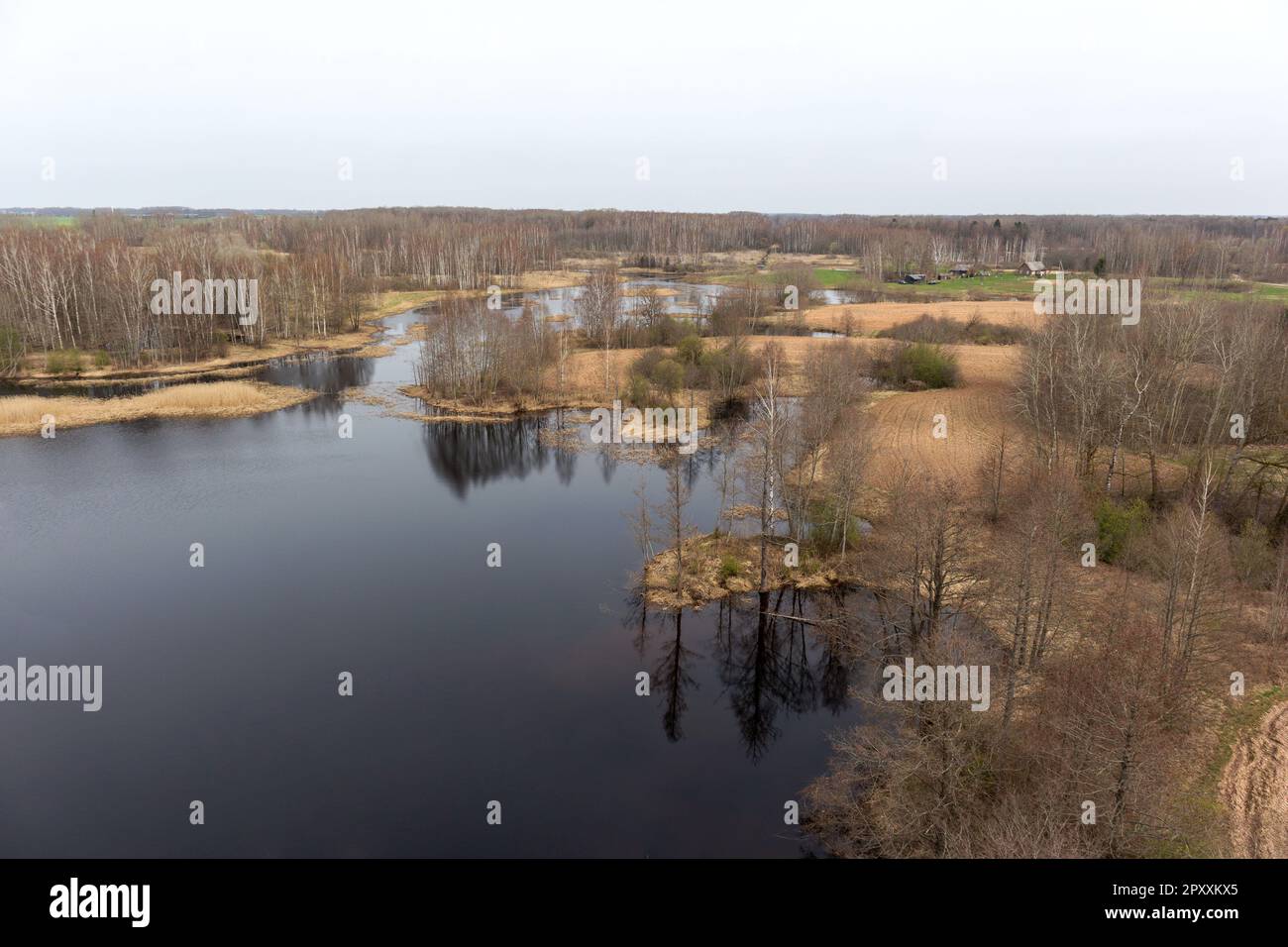 A river in the forest with a few trees and a cloudy sky Stock Photo - Alamy