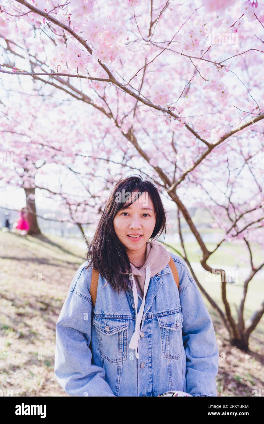 A girl standing under Sakura trees during Cherry blossom season. Stock Photo