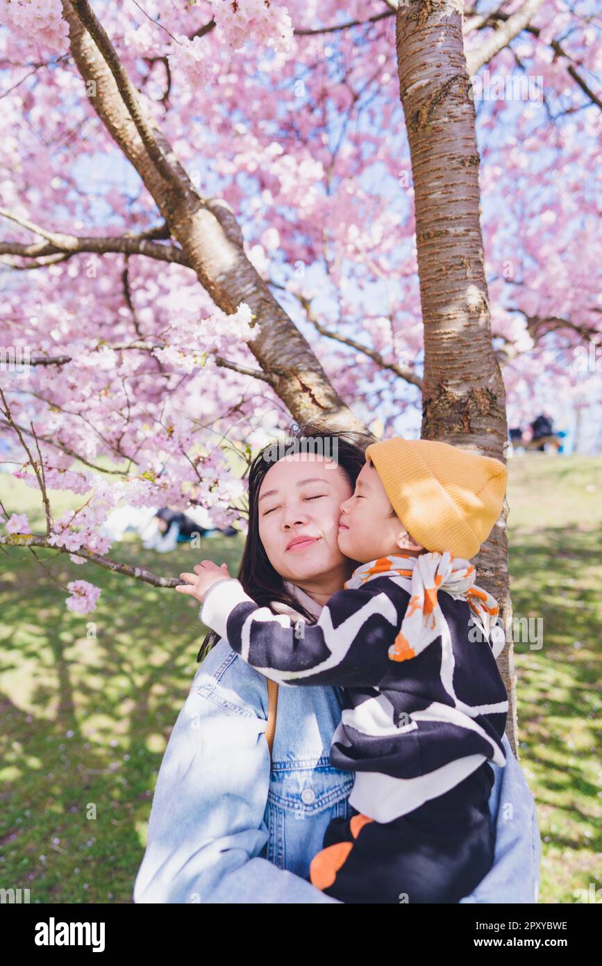 A mon with her kid standing under Sakura trees in the Cherry blossom season. Stock Photo