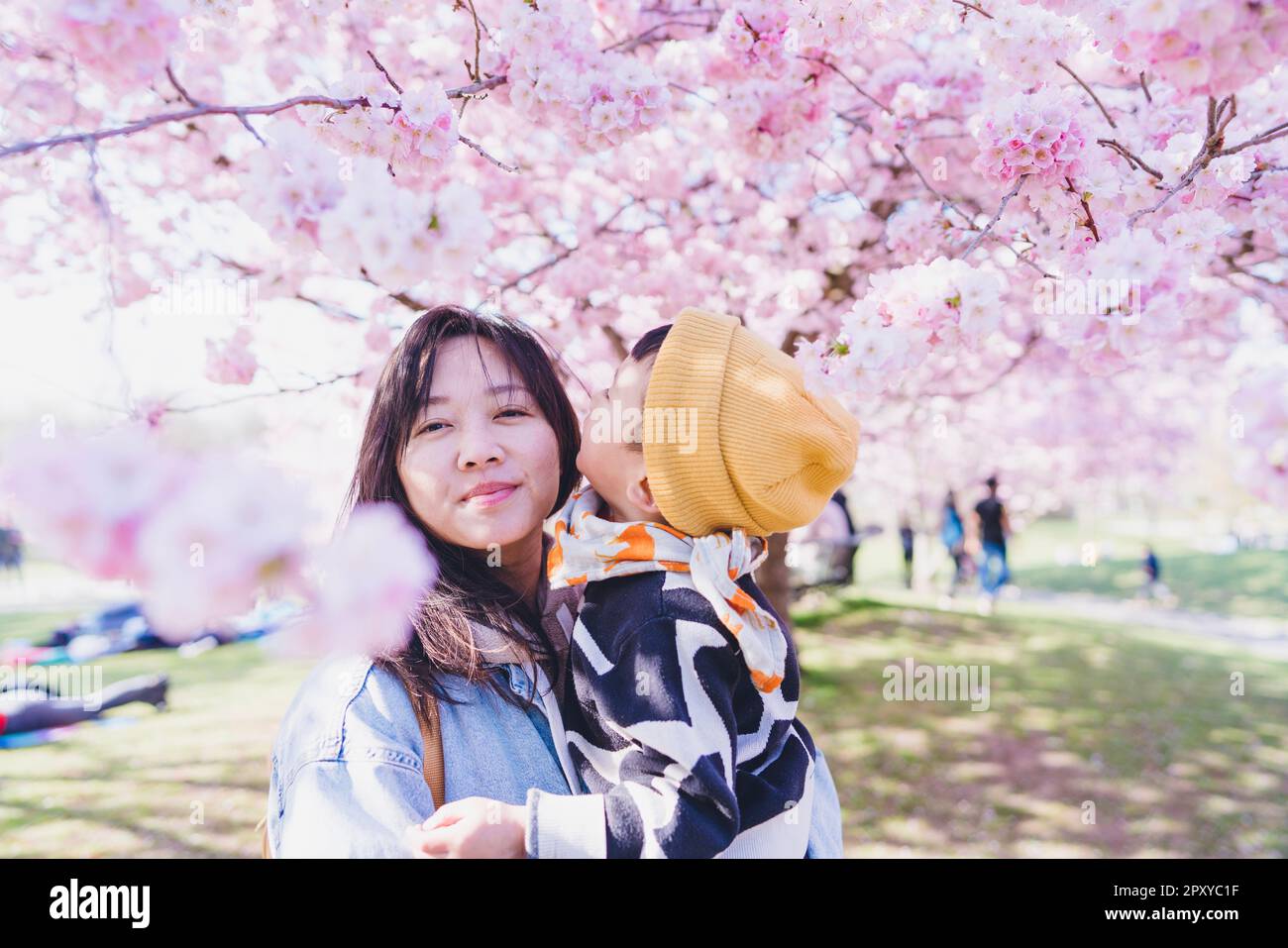 A mon with her kid standing under Sakura trees in the Cherry blossom season. Stock Photo