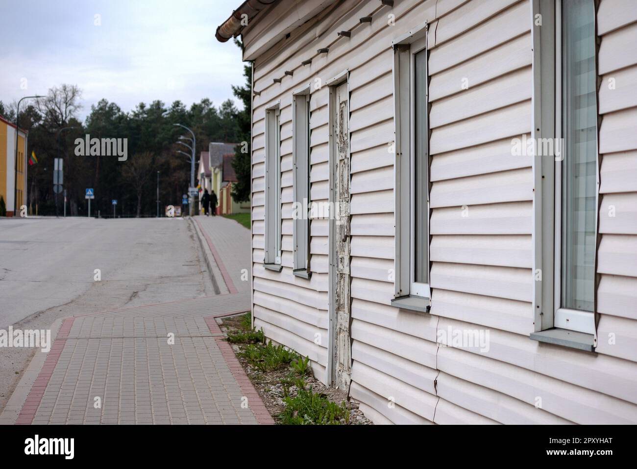 Wood White Siding House