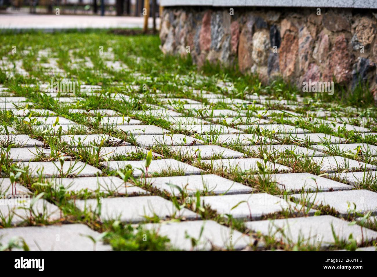 A brick walkway with grass growing in between it and a stone wall Stock